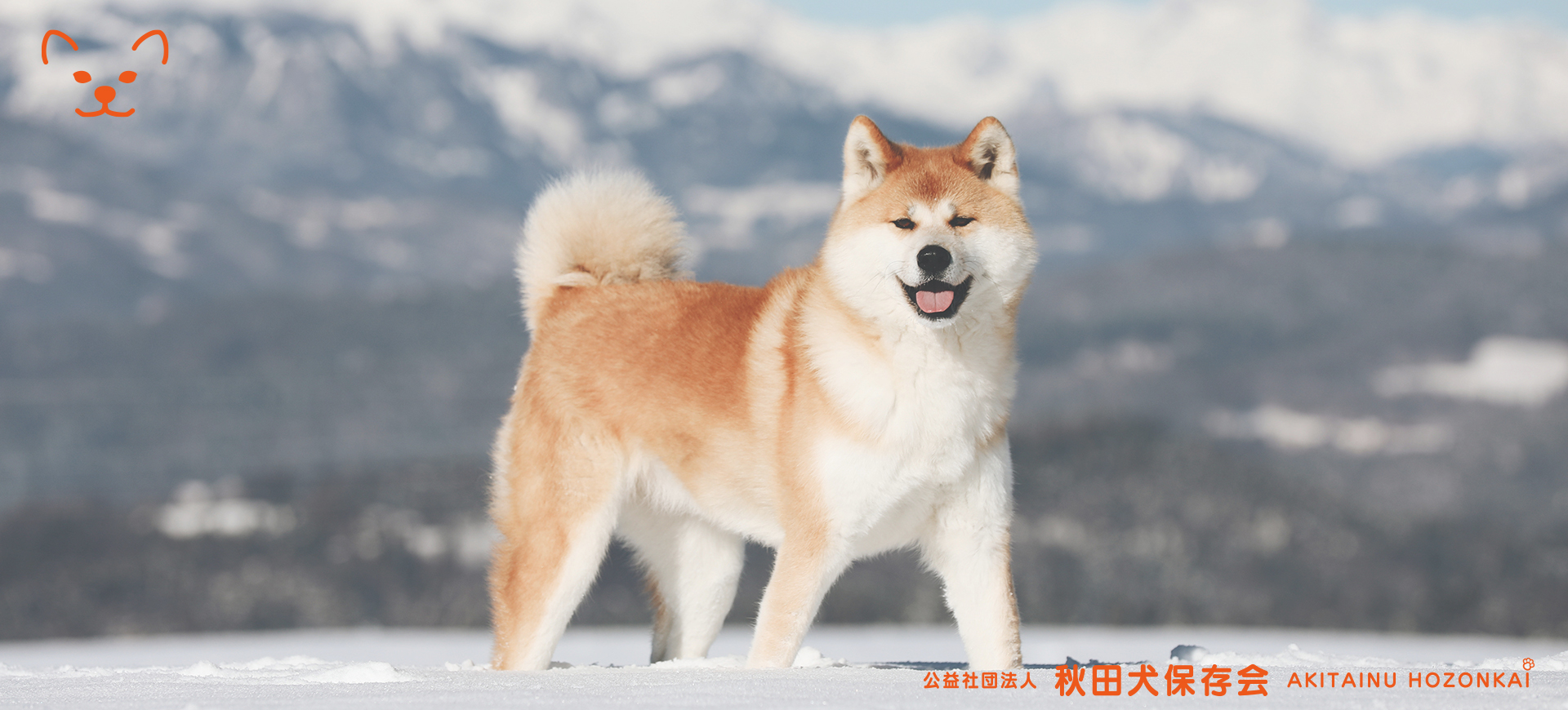 秋田FV1920x870-秋田犬-rev